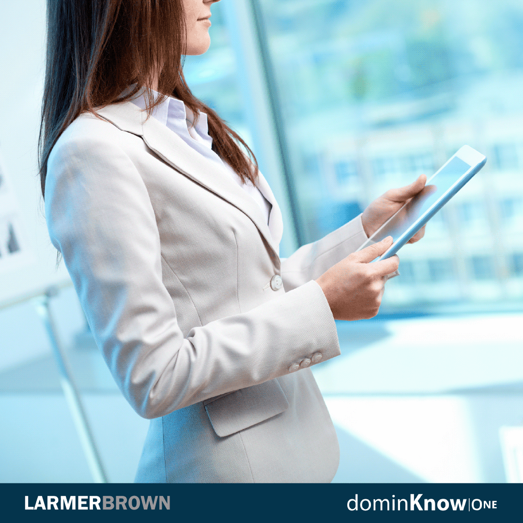 dominKnow | ONE product screenshot